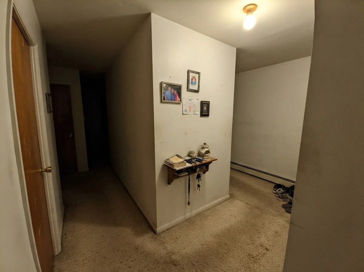 Windowless hallway corner showing paint looking flat and dull with beige carpet under a single ceiling light bulb.