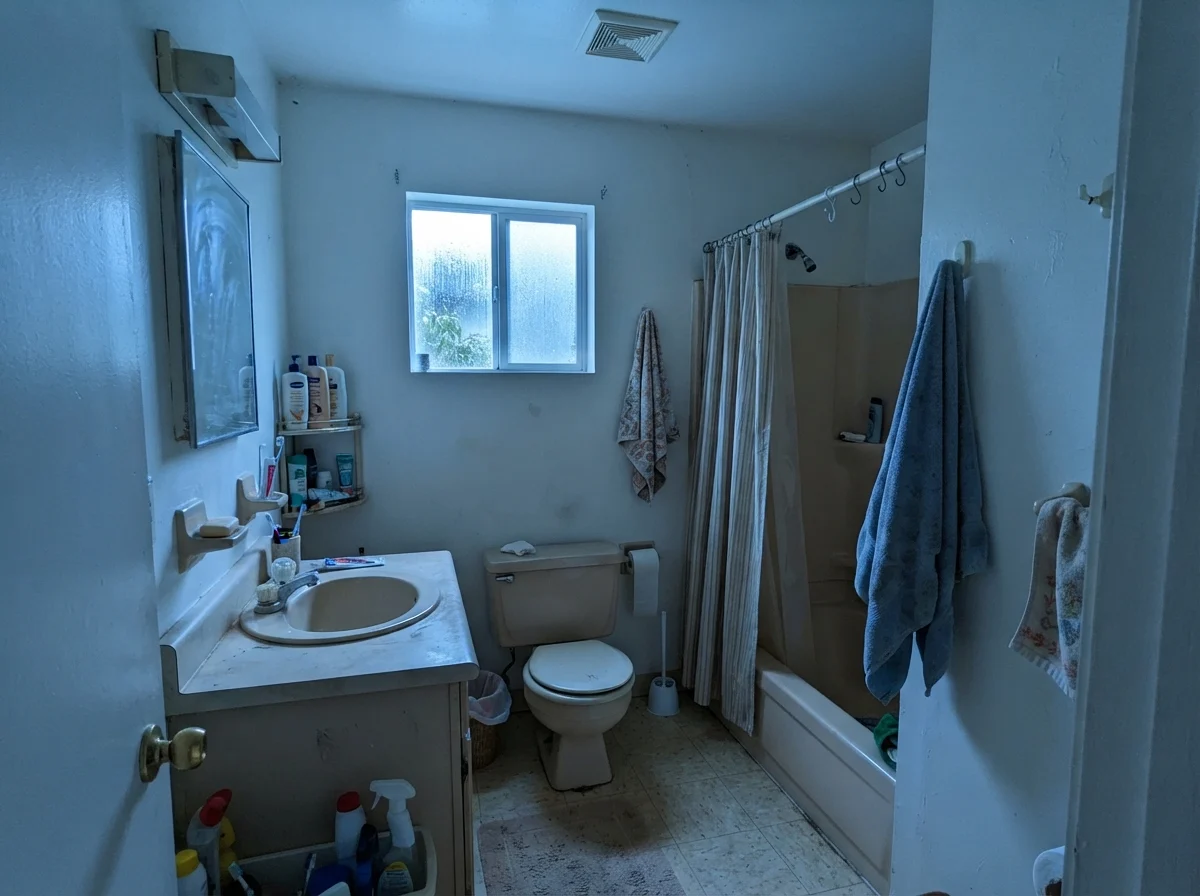 Modest bathroom with cool cast on walls from north light on a rainy day.