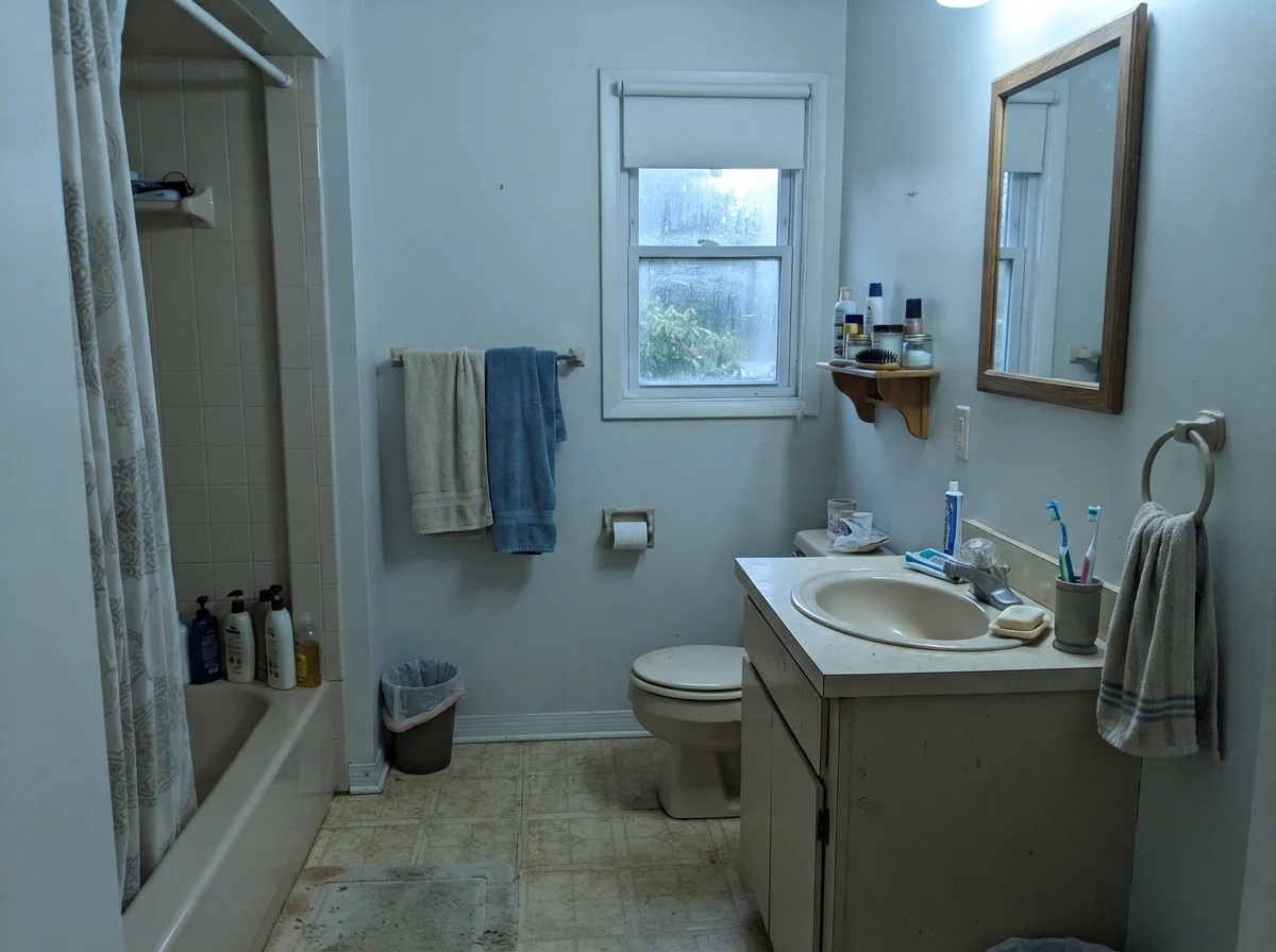 Modest dated bathroom with cool north daylight reflecting off painted walls above a beige vanity.