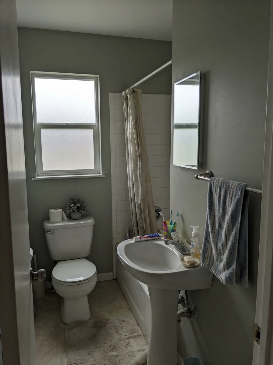 Small bathroom with painted walls looking gray under overcast frosted window light