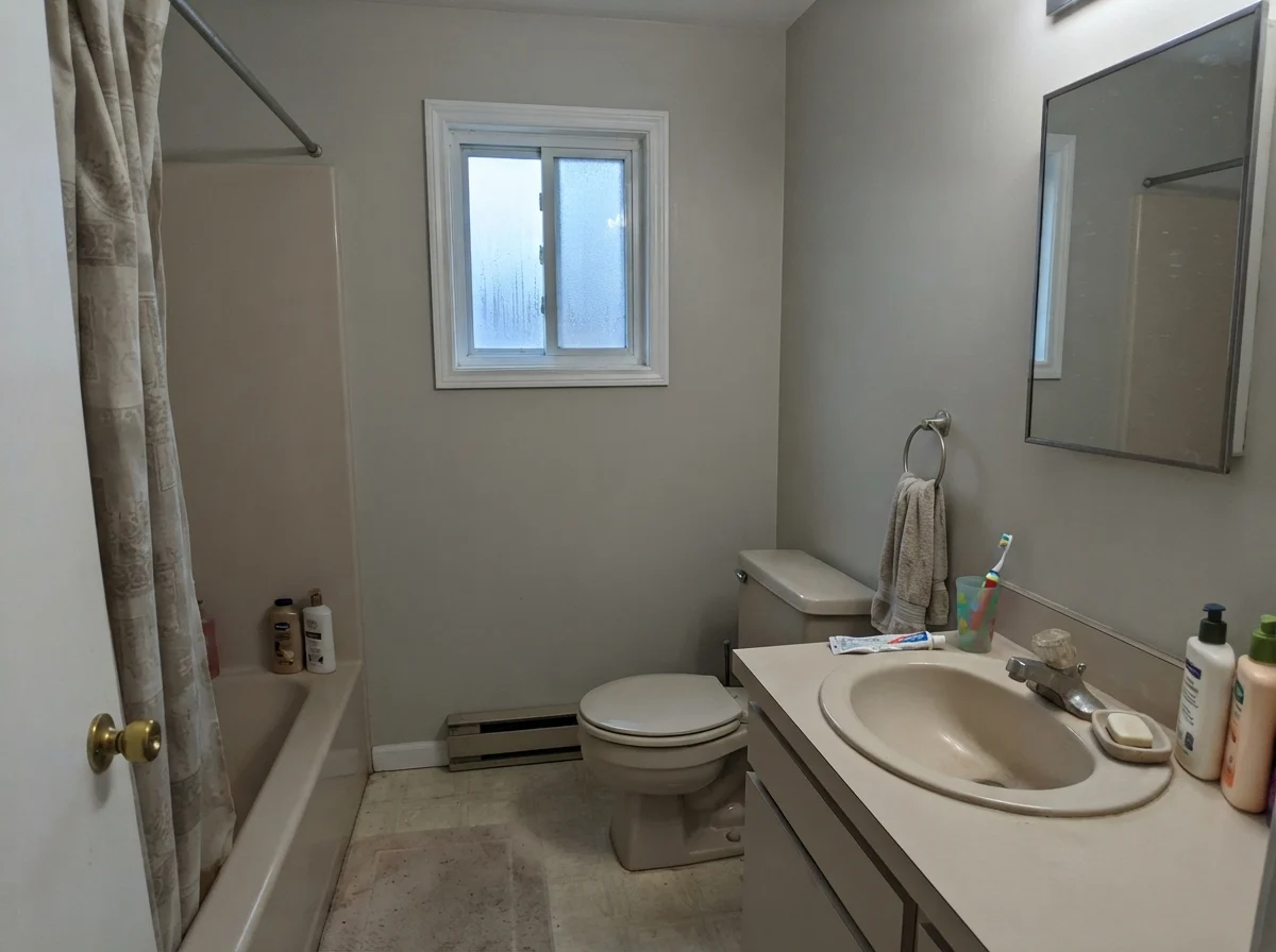 Modest bathroom showing cooler Revere Pewter walls under northern rainy light.