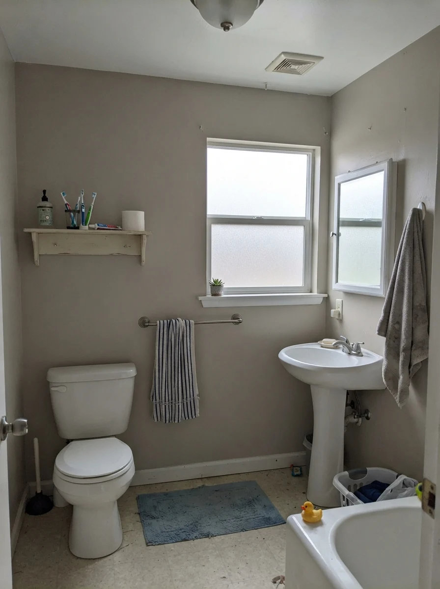 Small bathroom in flat overcast daylight with muted gray-toned walls.