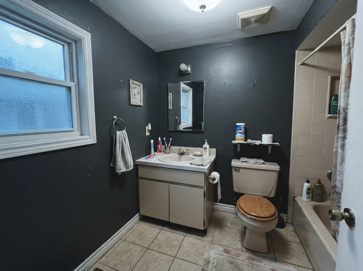 Modest bathroom with cool daylight highlighting dark walls above an older beige vanity.