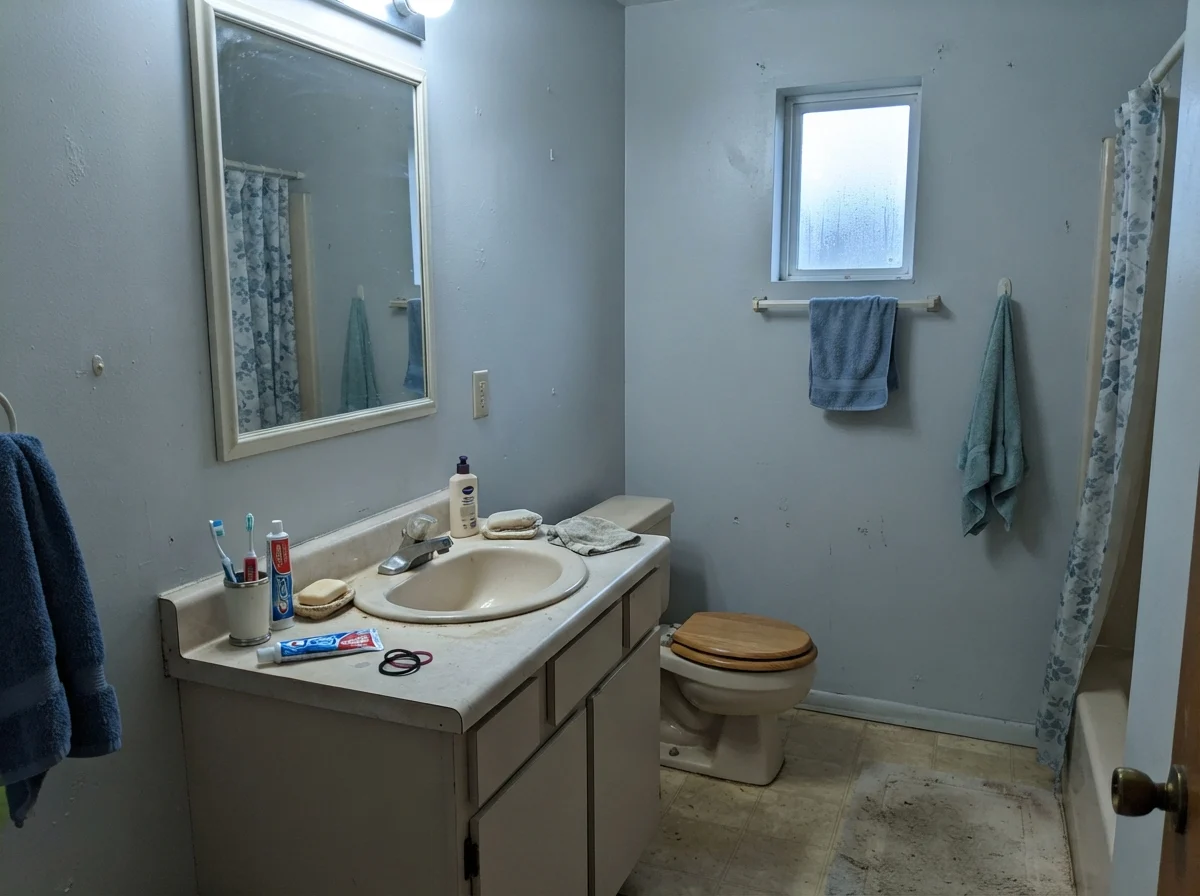 Dated bathroom showing painted walls taking on a chilly cast in cool north window light.