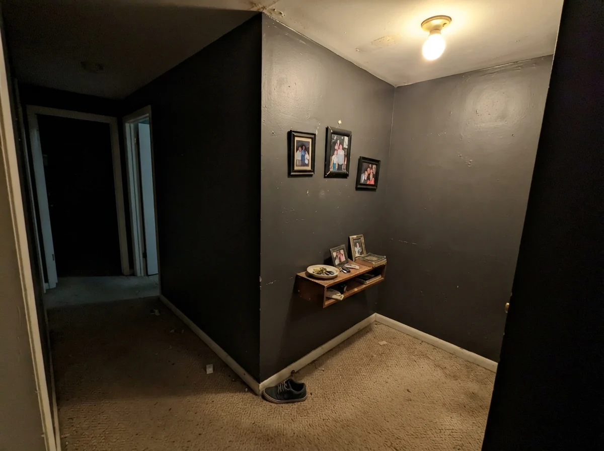 Dim windowless hallway corner showing dark paint looking muddy under a single ceiling light bulb.