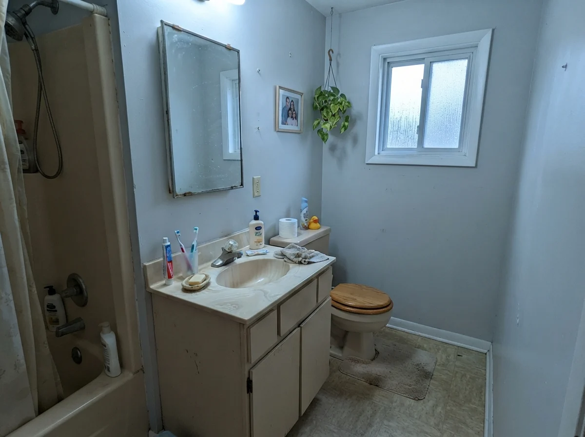 Modest dated bathroom with painted walls showing cool cast from north light