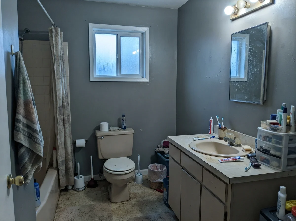 Dated bathroom showing a cool cast on Porpoise walls during a rainy day