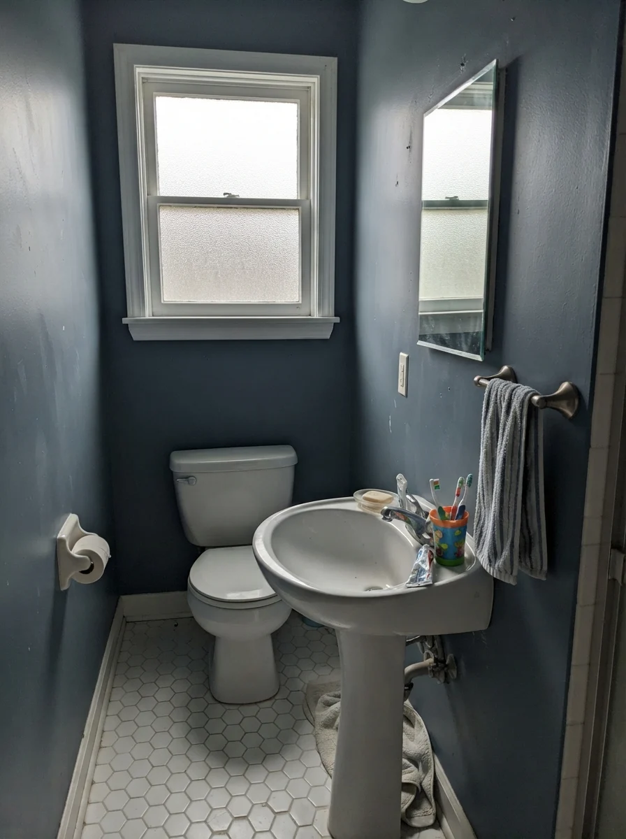 Small bathroom on an overcast day with Waterloo walls looking muted and grayish.