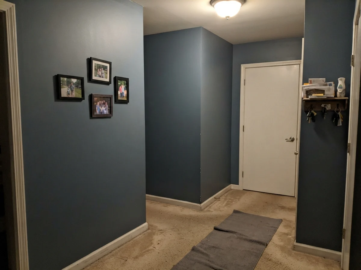 Dim windowless hallway corner showing Waterloo paint looking muddy and flat next to beige carpet.